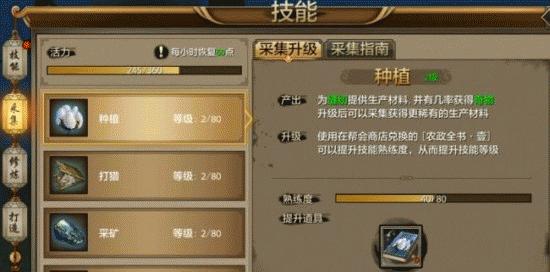 天龙工艺技能升级攻略——提升工艺技能的有效方法（轻松掌握升级技巧，成为天龙工艺大师）